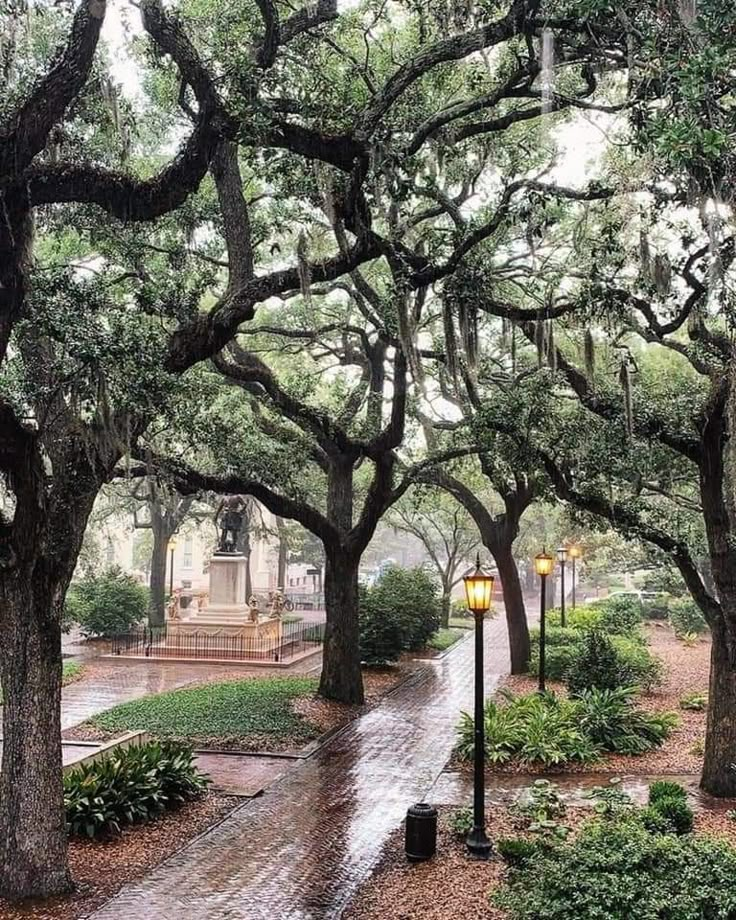 a rain soaked street with trees and benches