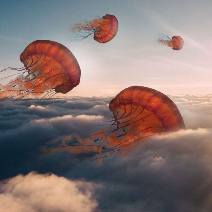 some very pretty kites flying in the sky above the clouds with their tails sticking out