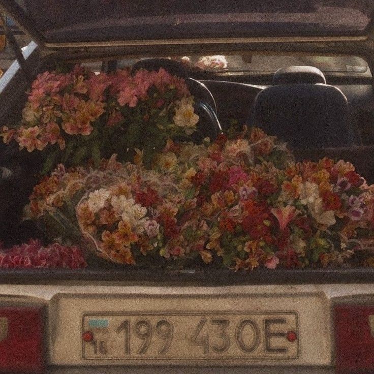 the back of a car with flowers in the trunk