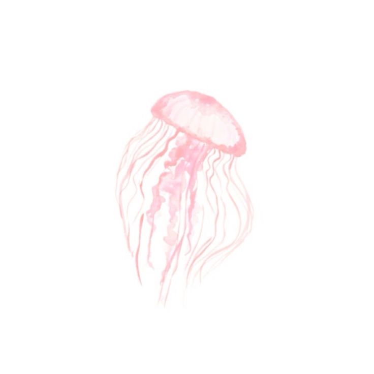 a pink jellyfish floating in the ocean on a white background with watercolor effect