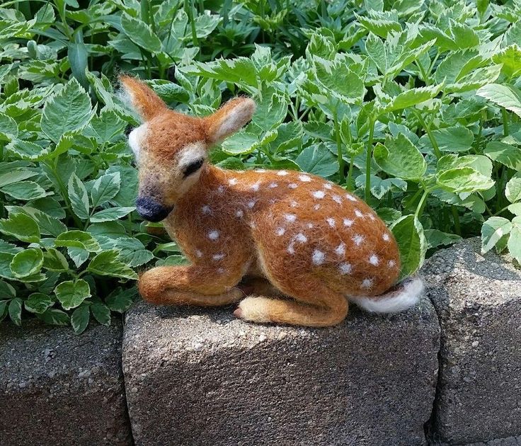 a small fawn sitting on top of a rock next to some green plants and bushes