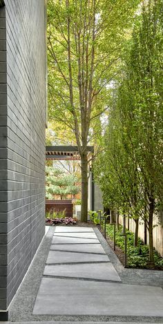 an empty walkway between two buildings with trees in the background