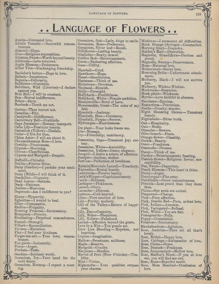 the language of flowers is shown in an old book with many different words on it