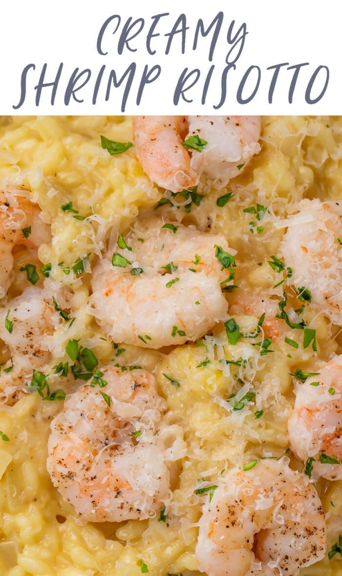 creamy shrimp risotto with parmesan cheese and chives