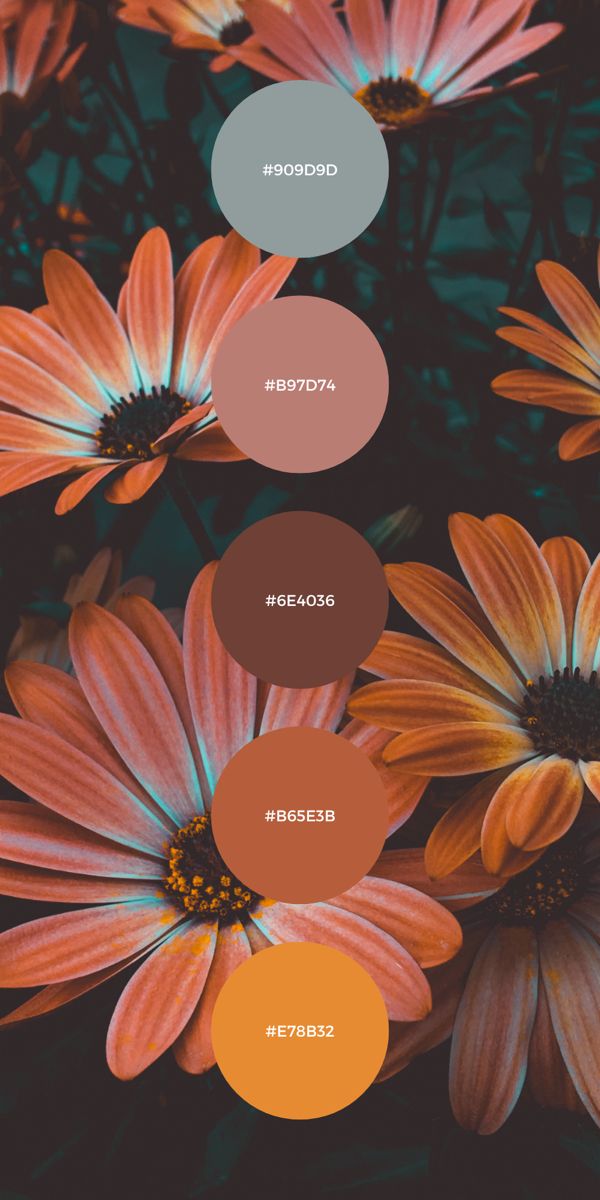 20 gorgeous Color Palette Collection Inspiration for Fall 2022! All with the hex code included read for you to use on your Canva, Illustration and Branding design. Hex Color Palette, Color Schemes Colour Palettes, Palette Design, Fall Color Palette, Fall Wedding Colors, Color Palette Design, Color Inspo, Paint Colors For Home, Fall Color