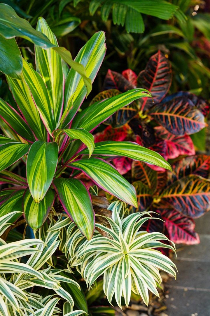 many different types of plants are growing in the planter area, along with brick walkways