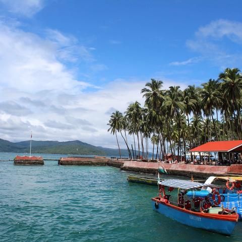 a blue boat is in the water next to some palm trees and other small boats