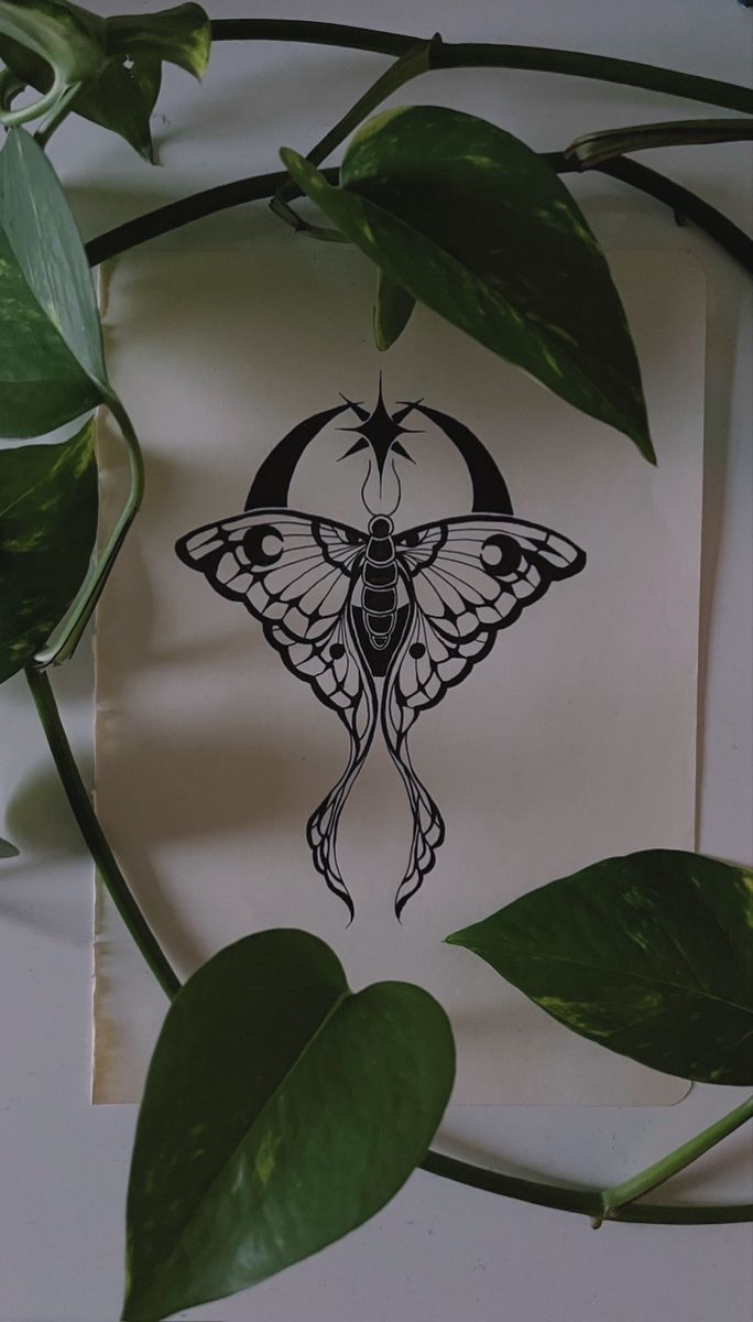 a paper with an image of a butterfly on it next to some leaves and a plant