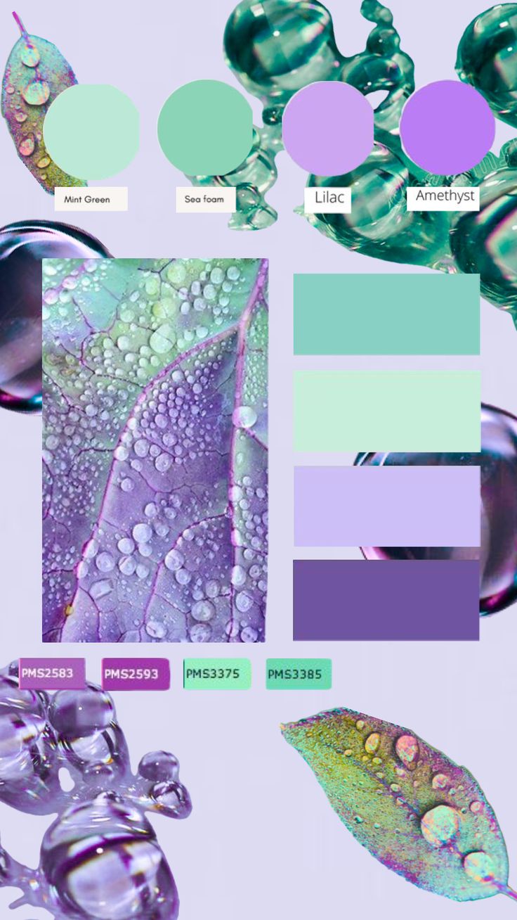 the color palette is green, purple and teal with water droplets on it's surface