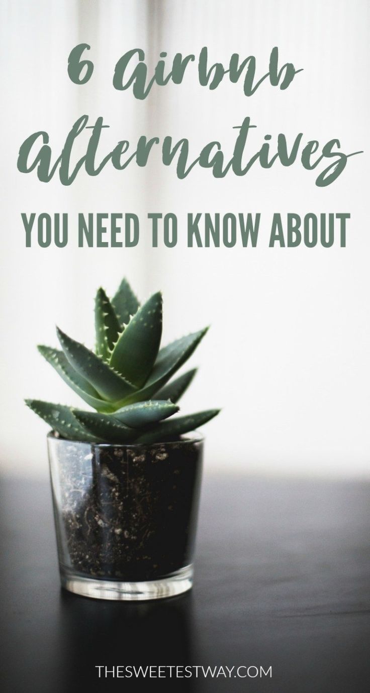 a potted plant with the words 6 unusual alternatives you need to know about