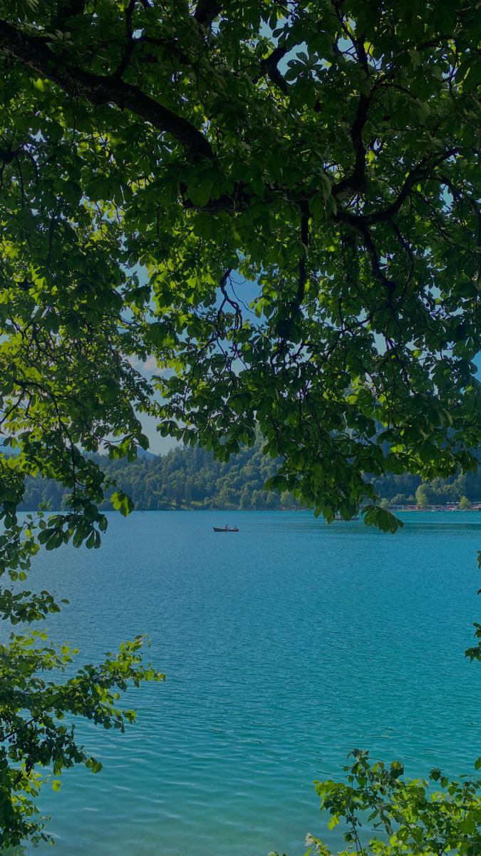 a boat floating on top of a lake surrounded by green trees in the foreground