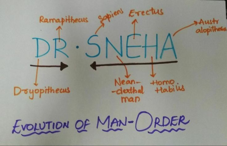 a white board with writing on it that says dr sneha and the evolution of man - order