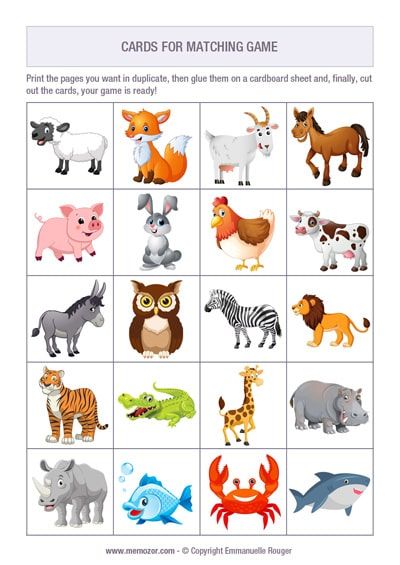 an animal matching game with different animals