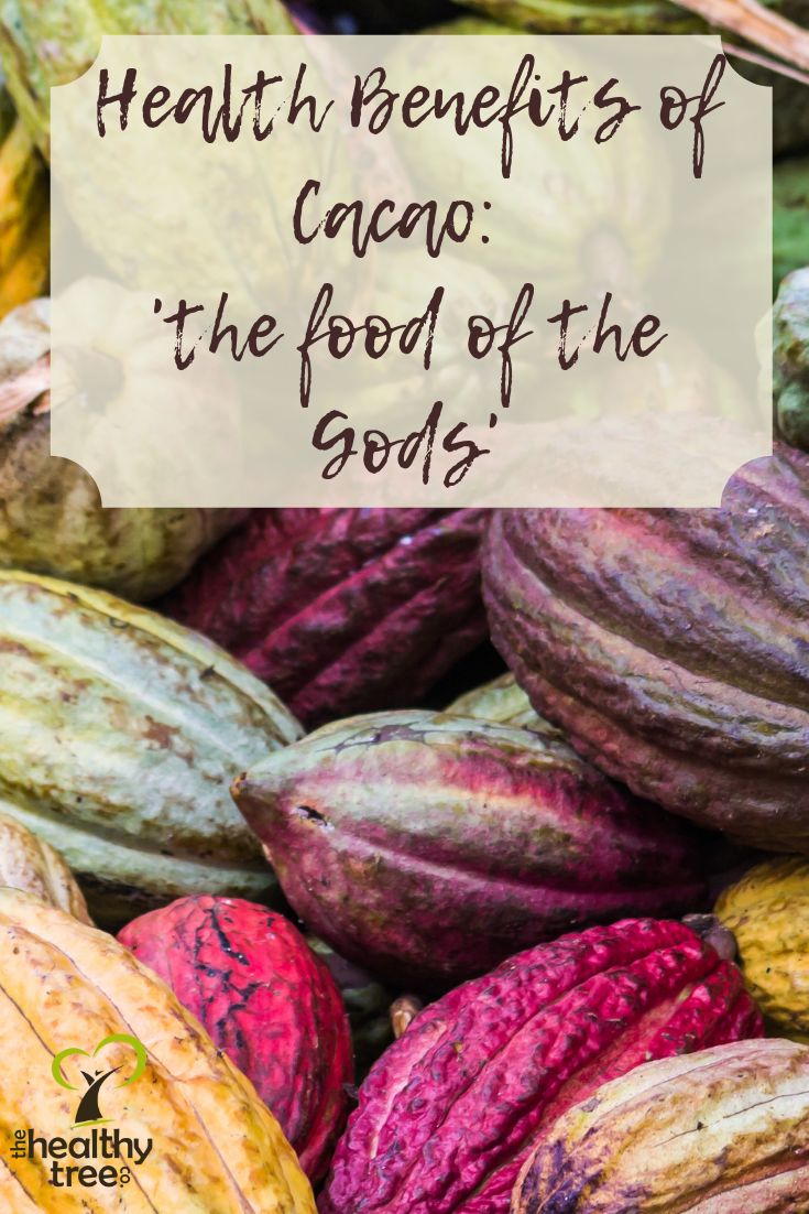 the health benefits of cacoa, the food of the gods - healthyfreshy com