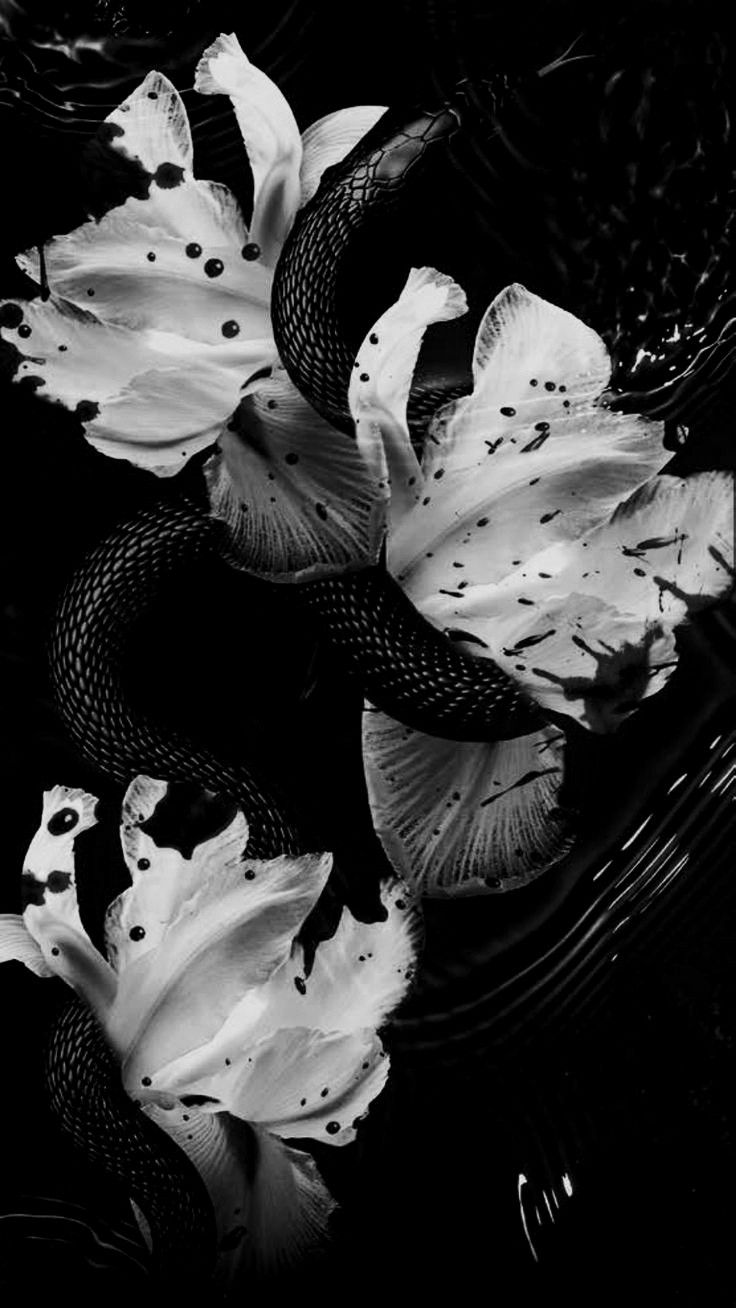 black and white photograph of flowers in water