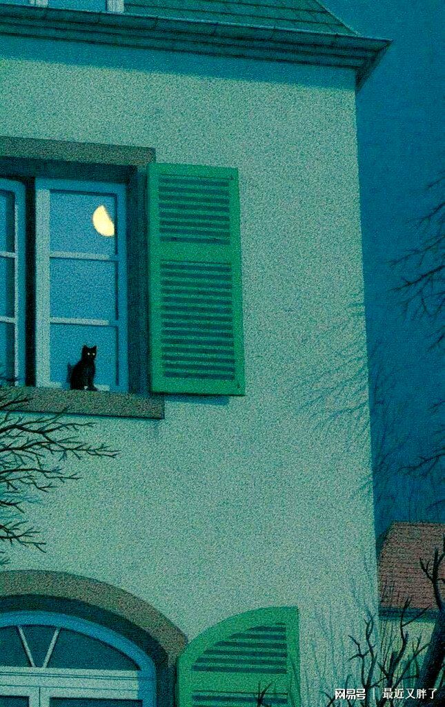 a cat is sitting on the window sill looking out at the moon