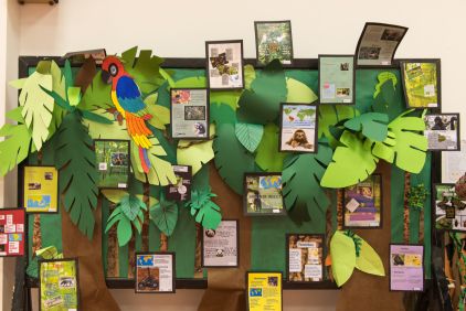 a bulletin board with some pictures on it and a parrot sitting on top of the tree