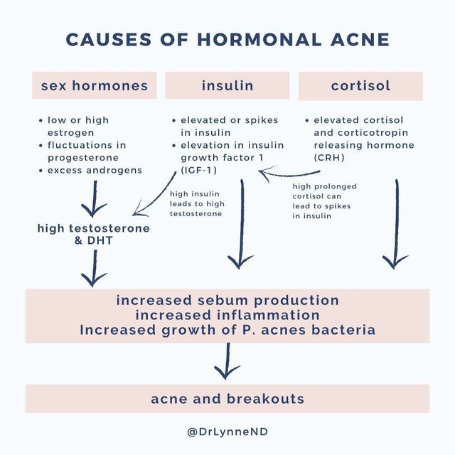 Dr Lynne ND | PMS & PERIODS ✨ on Instagram: "Hormonal acne is COMPLEX. The main takeaway from this is that causes of hormonal acne are interlinked. It’s never just one hormone which is why a comprehensive approach is needed to treat hormonal acne. - elevated androgens such as testosterone and DHT levels increase sebum production, inflammation, and the growth of P. acnes bacteria - Insulin spikes happen for some people and this directly affects our skin through sebum overproduction and inflamma Hormonal Chin Acne, Evening Primrose Oil Benefits, Treat Hormonal Acne, Chin Acne, Female Hormone, Skin Facts, High Testosterone, Healthy Hormones, Feminine Health