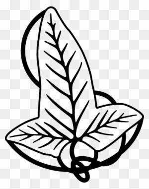 a black and white drawing of a leaf with the letter s on it's side