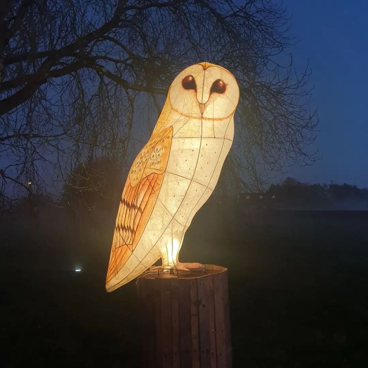 an illuminated owl sitting on top of a wooden post