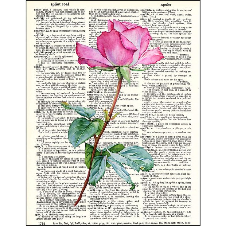 a pink rose sitting on top of an open book with green leaves and words in the background