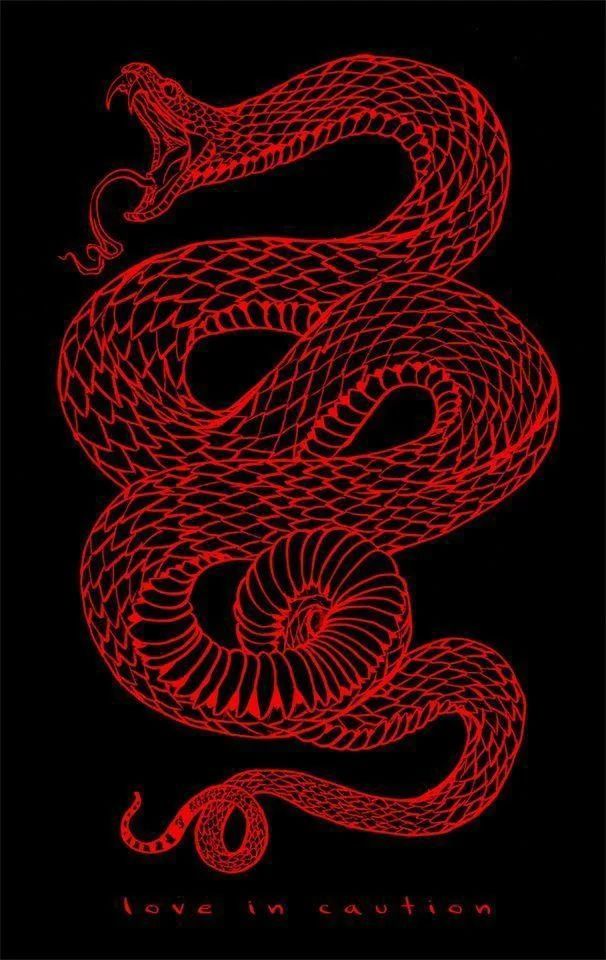 a red snake on black background with the words, nothing is evil written below it