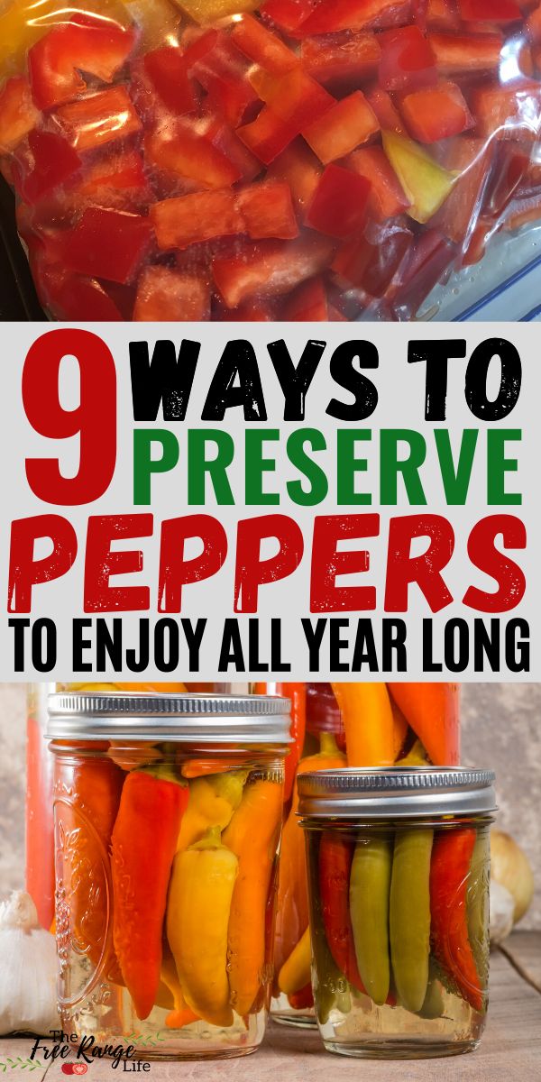 jars filled with pickles and peppers sitting next to each other