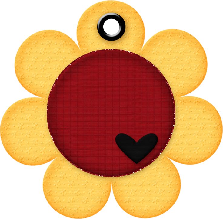 a red and yellow flower with a black heart