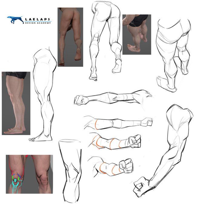 the legs and lower body are shown in this drawing lesson, which shows how to do different