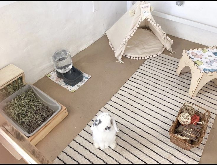 a small white rabbit sitting on top of a rug next to a table with food