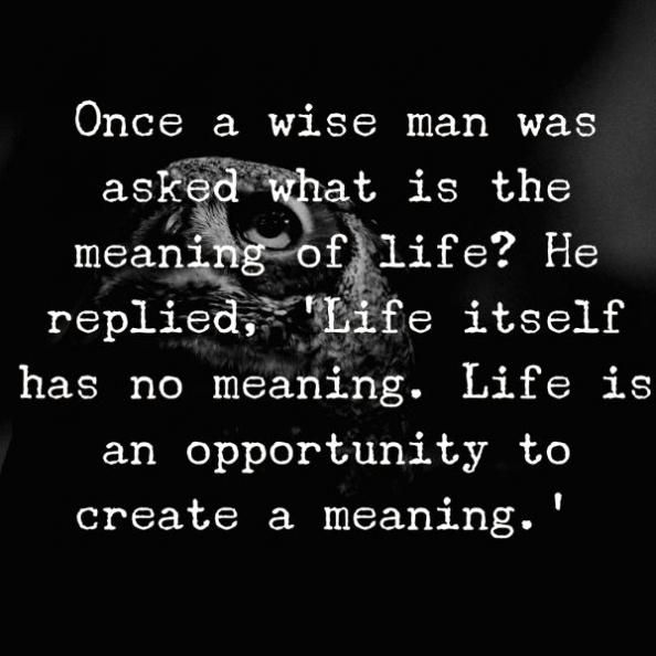 an owl with the words, once a wise man was asked what is the meaning of life? he