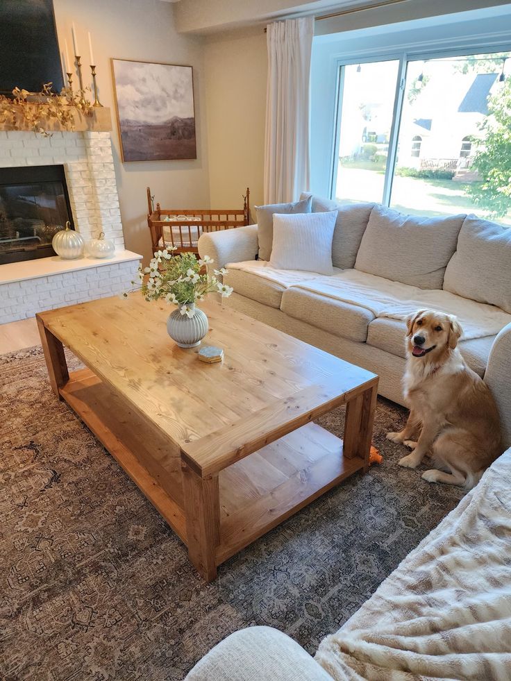 a dog sitting in front of a coffee table