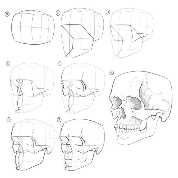 how to draw a human skull with different angles and facial features, step by step