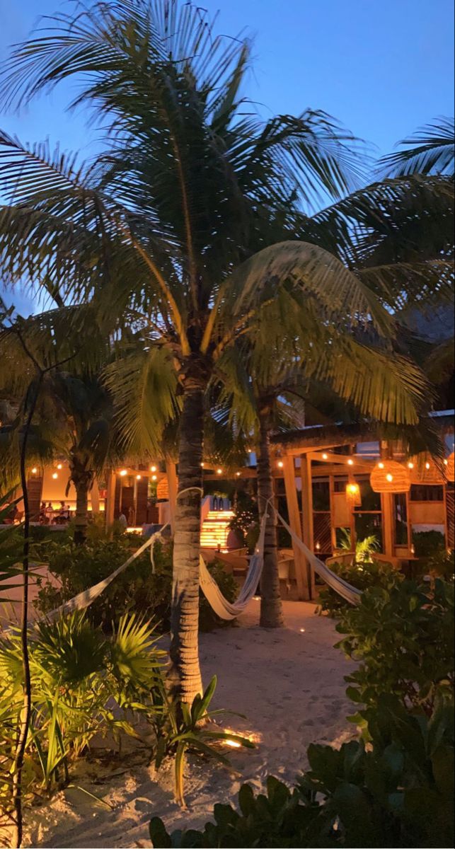 a hammock strung between two palm trees on the beach at night with lights in the background