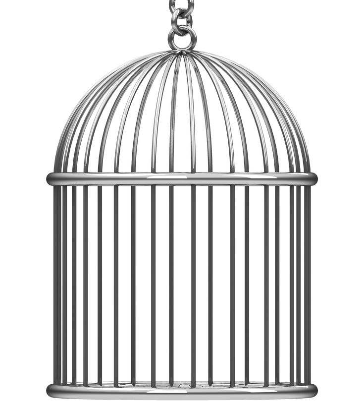 a bird in a cage hanging from a chain on a white background with clippings