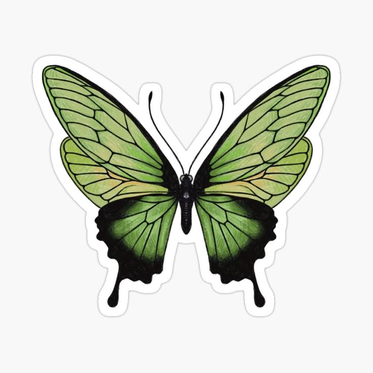 a green and black butterfly sticker