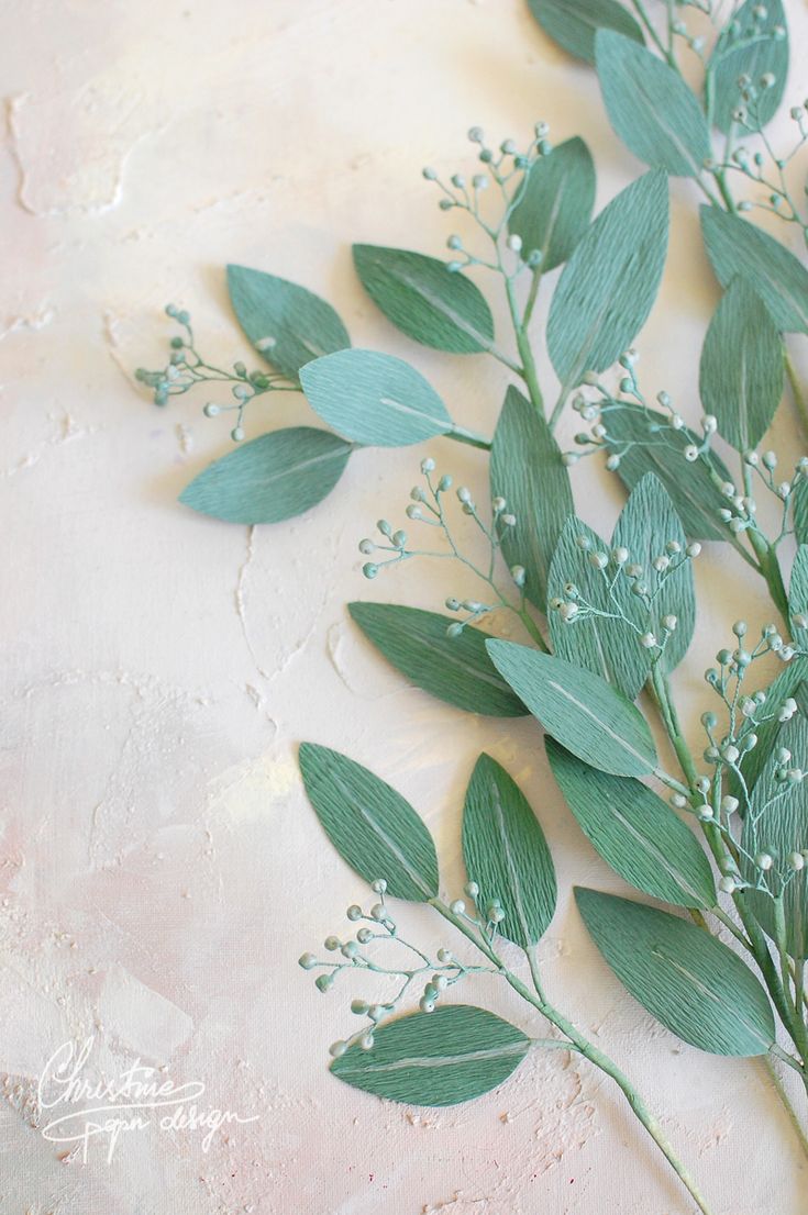 some green leaves and white flowers on a table