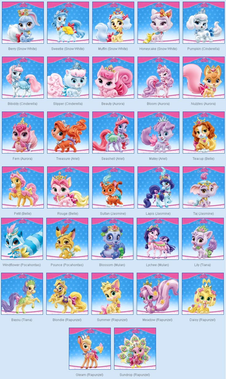 an image of many different ponys on a blue and pink background with the names of each