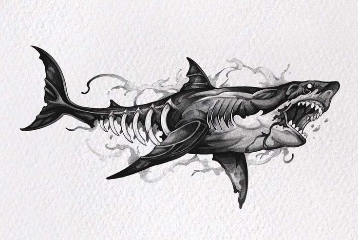 a drawing of a shark with its mouth open