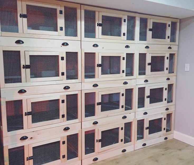 a room filled with lots of windows and wooden shelves next to a wall covered in cage doors