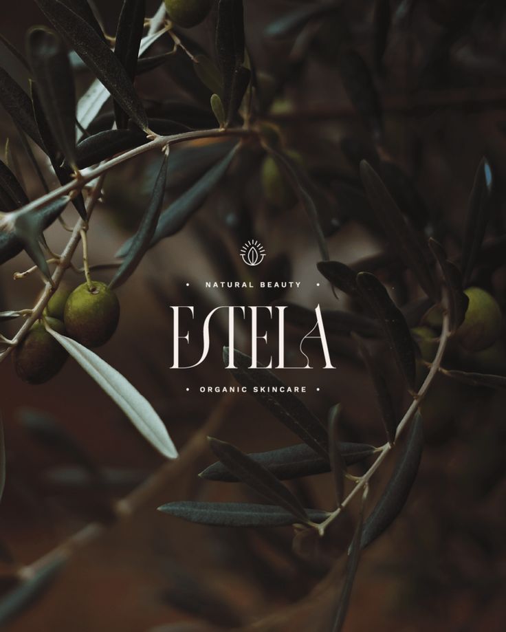 an olive tree with the words estela on it