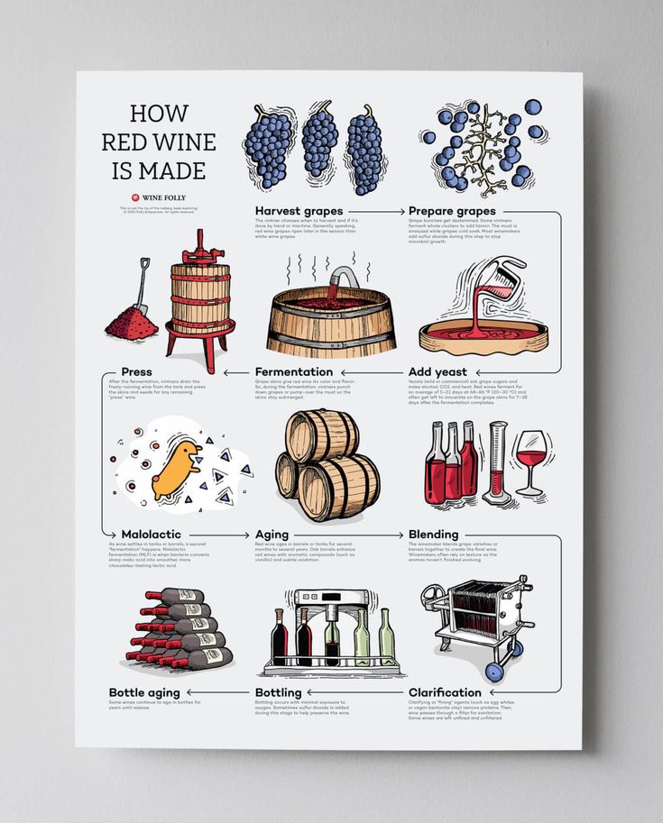 a poster with wine related items on it and the words how red wine is made