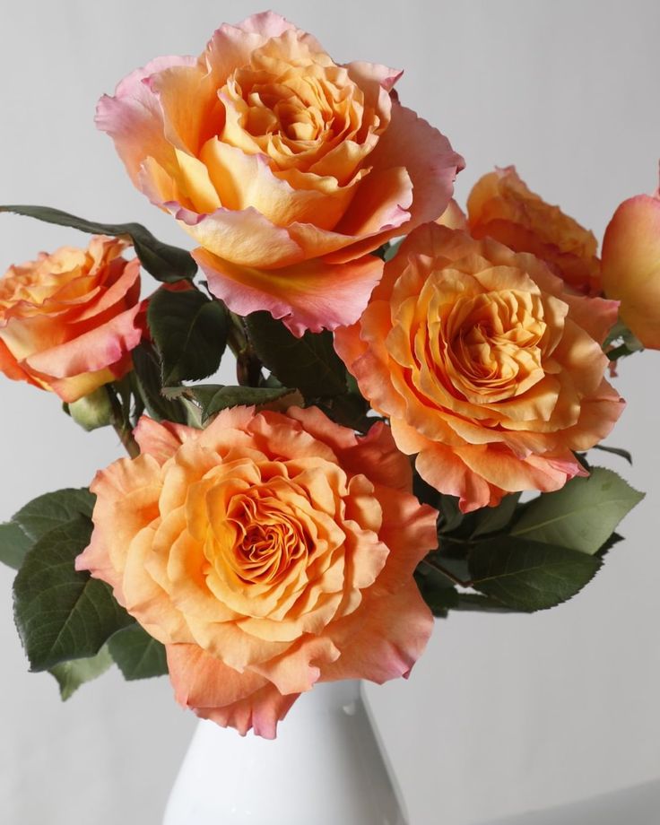 a white vase filled with orange and pink flowers