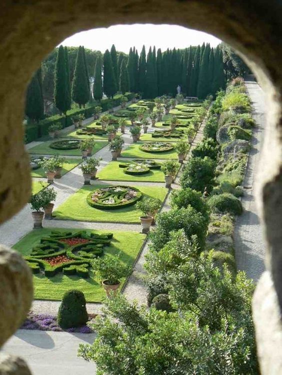 a garden with many different plants and trees in it, seen through an arch on the wall