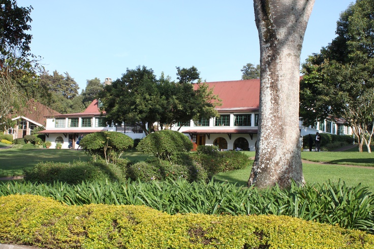 a large house surrounded by lush green trees and bushes in the foreground, on a sunny day