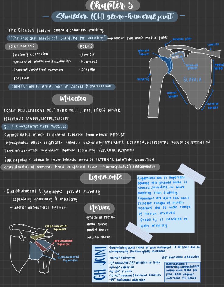 an info sheet showing the different types of aircrafts