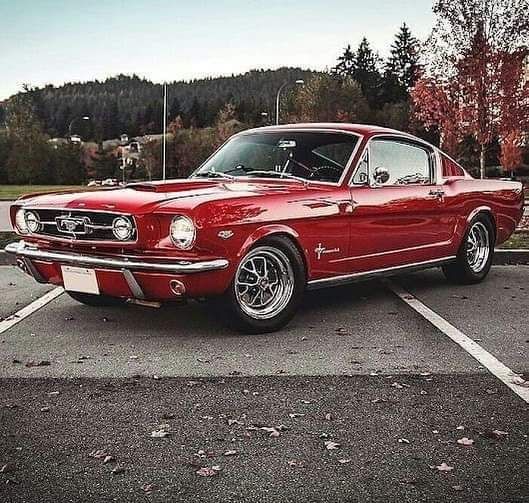 a red mustang parked in a parking lot