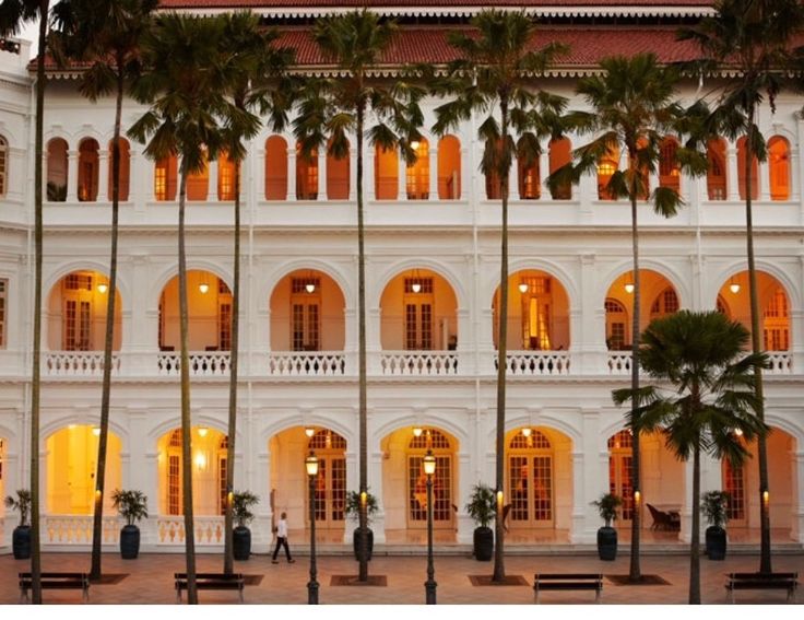 palm trees are lined up in front of a white building