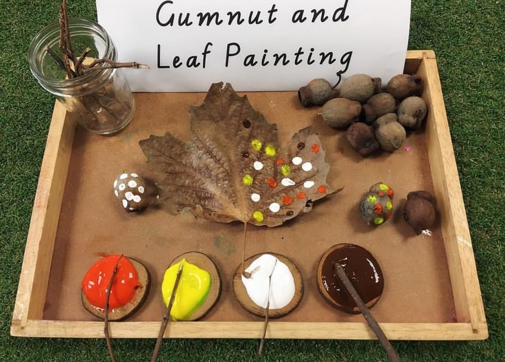 an assortment of edible items displayed in a wooden tray on the grass with a sign that says gumnut and leaf painting