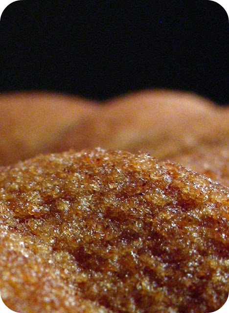 a close up view of some food with sugar on the top, and another item in the background